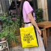 Girls Heat Transfer Printing Non Woven Handle Bag Supplier