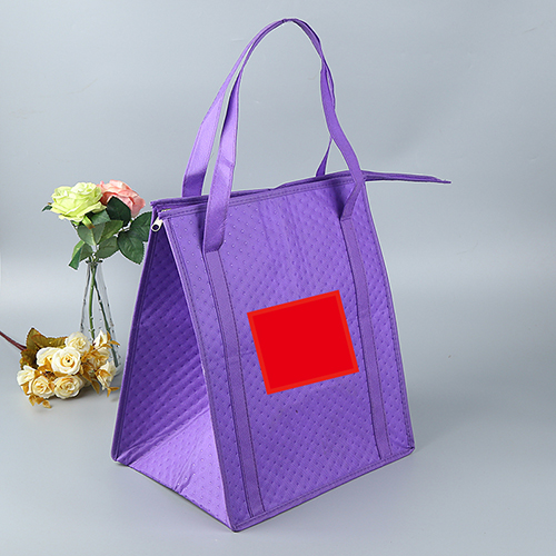 custom picnic cooler bag