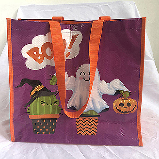 PP Laminated Nonwoven Bag