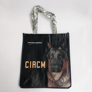 Recyclable Promotional Custom LOGO Printed Shopping Use Gift PP Shopping Non Woven Bag