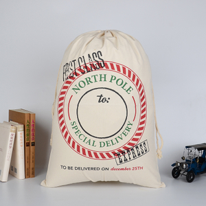 BG-12 High Quality Unique Christmas Bag