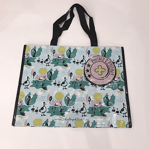 BG034 China Promotional Animals Cute Style Full Printing Customized Spunbond PP Laminated Non Woven Tote Bag