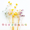 Plant Flower Masking Paper Japanese decorate Diary Washi Tape