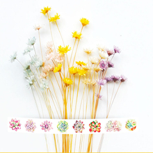 Plant Flower Masking Paper Japanese decorate Diary Washi Tape