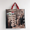 Custom Recyclable Folding Pp Laminated Woven Bag with Heat Transfer Printing