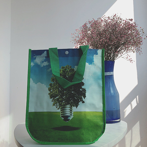 Eco Friendly Picture Printing Reusable Laminated PP Woven Shopping Bag