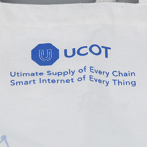 Silk Printing Cotton Canvas bag