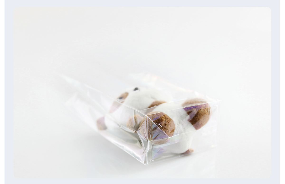 Square Bottom Cello Gift Bags