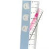 Custom Design Acrylic Ruler Anime Printing School Stationery Supplier