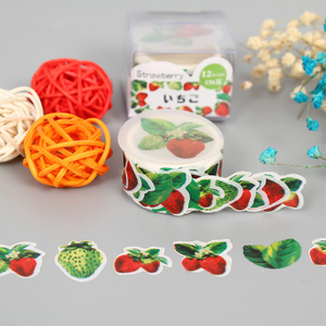 Decoration Scrapbooking Custom Design Pantone Color Printing Masking Washi Tape Set